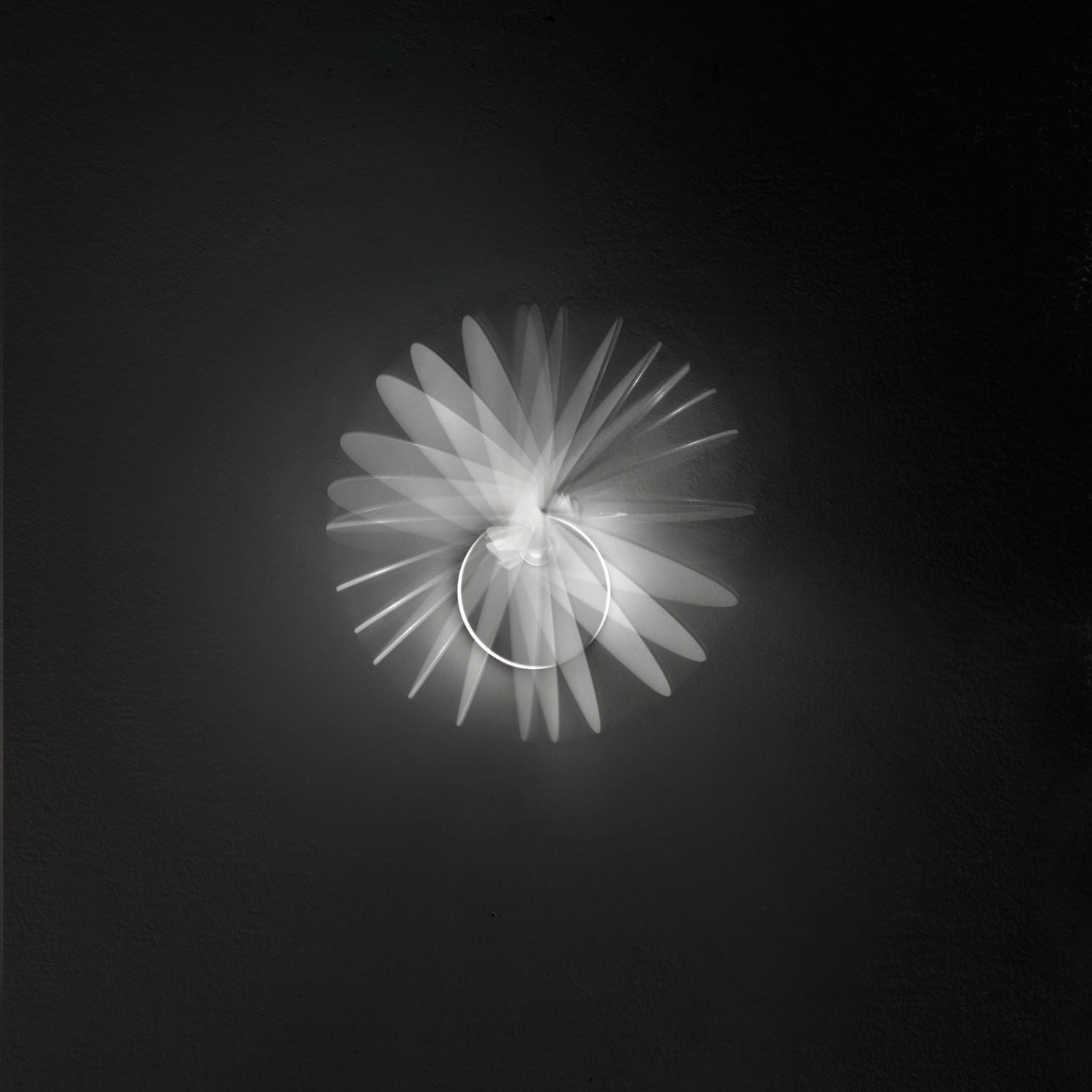 Puzzle Single Round LED Leuchte von Lodes