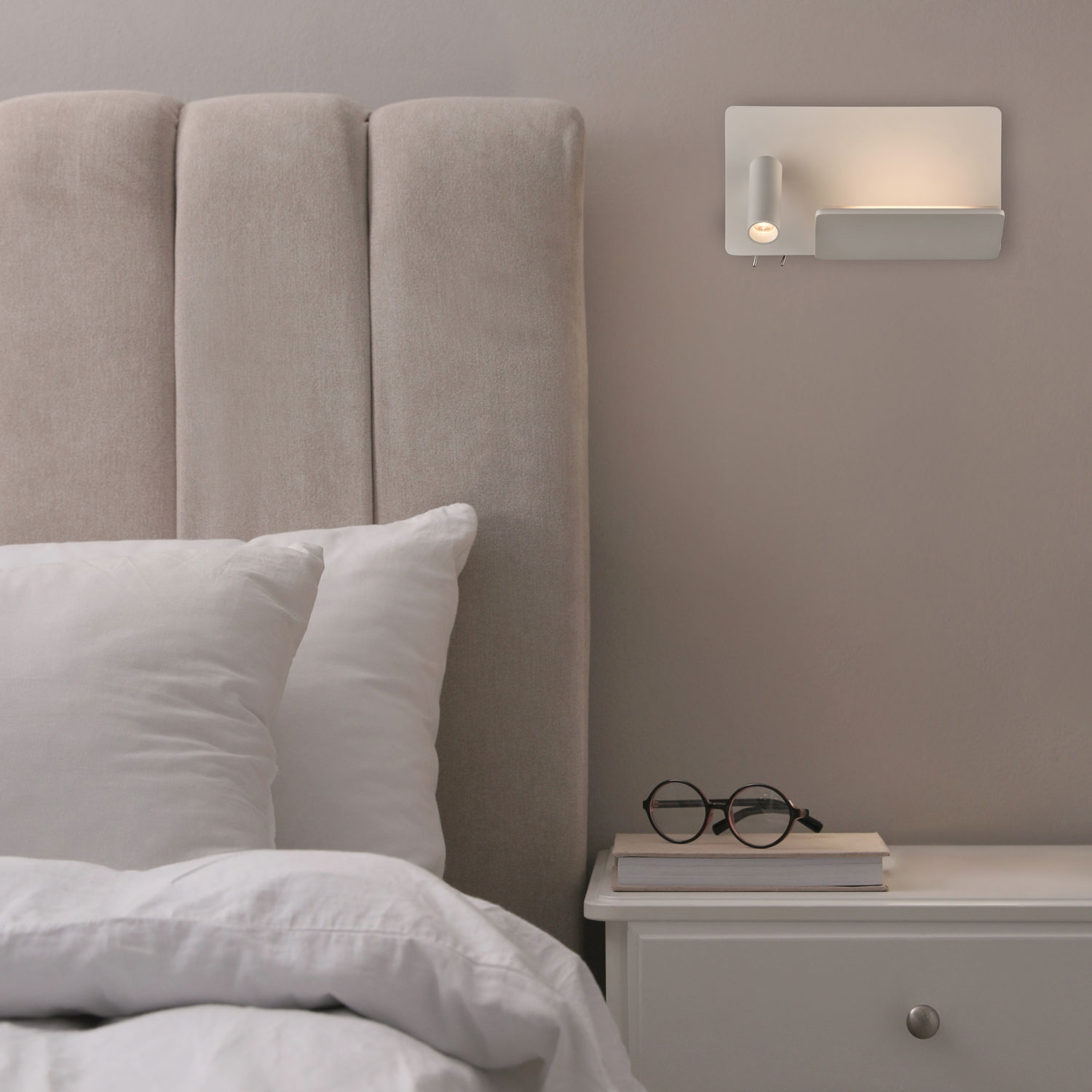 Laika reading light left by ACB