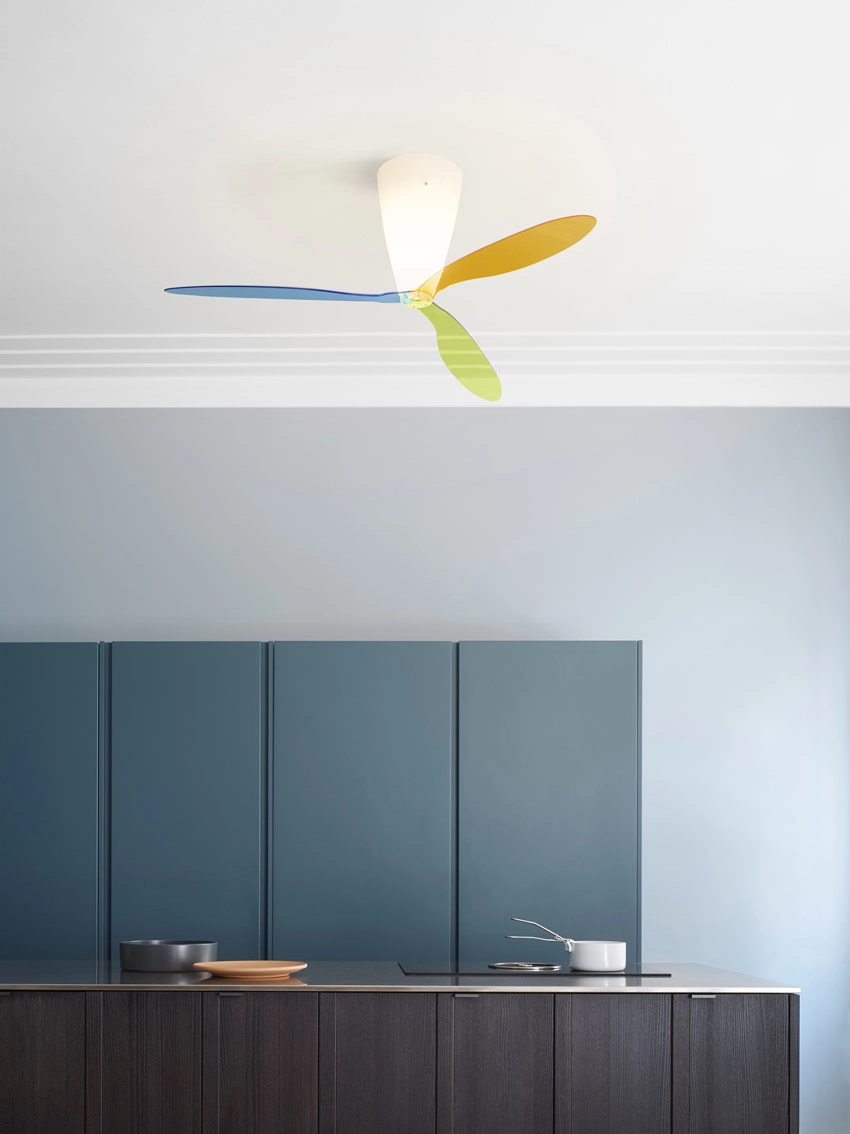 Design celing/wall lamp fan and turned  Luceplan Blow
