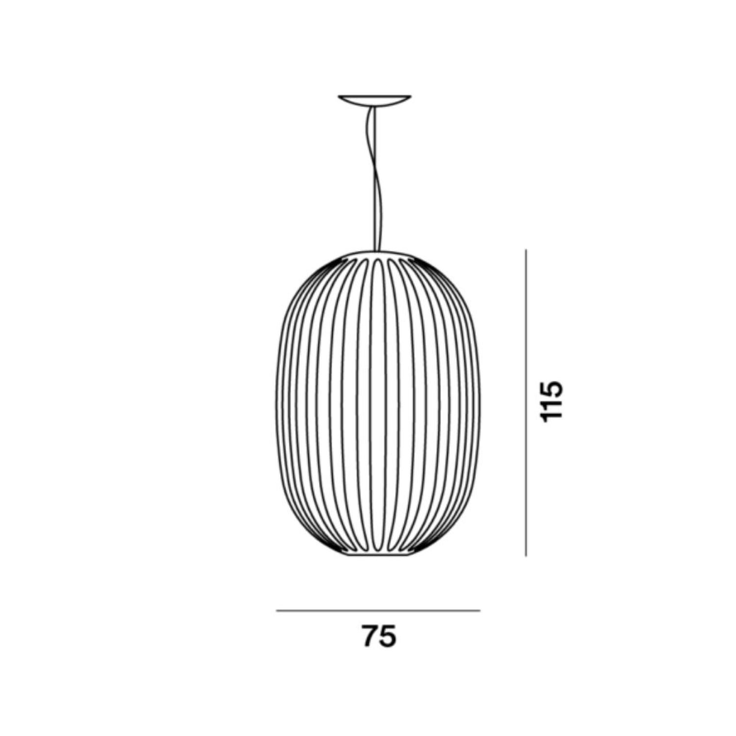 Plass Hängeleuchte von Foscarini