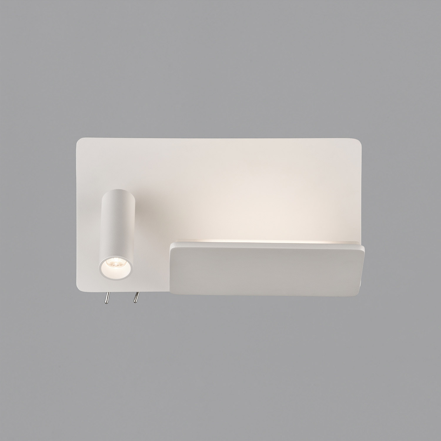 Laika reading light left by ACB