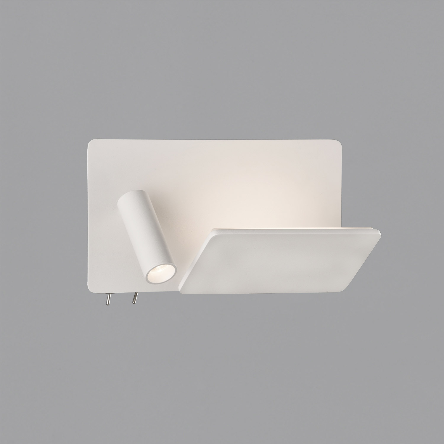 Laika reading light left by ACB