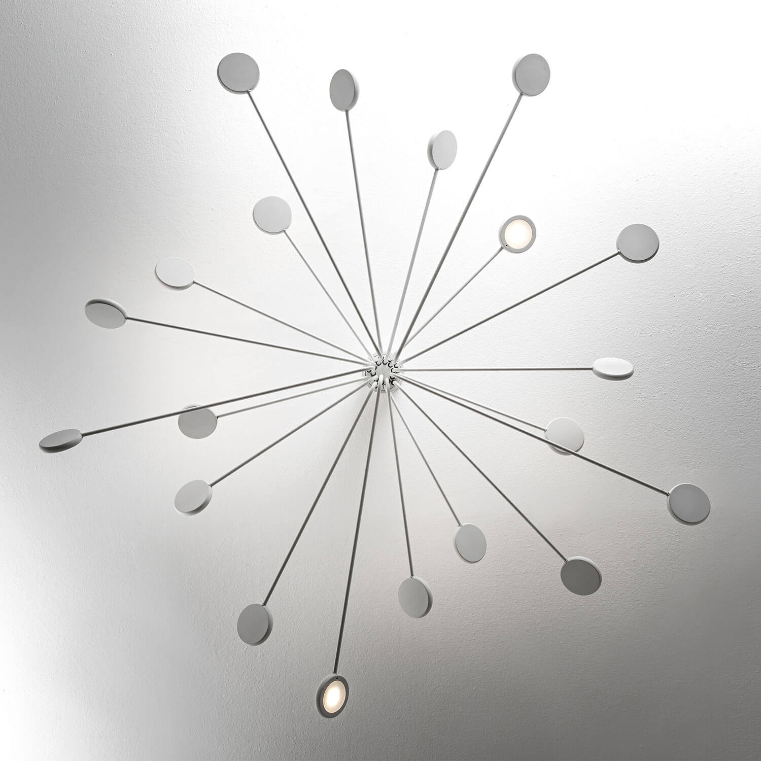 Arbor PL Deckenlampe von Icone